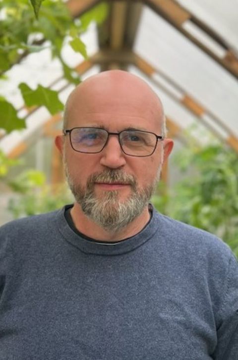 en person med skjegg