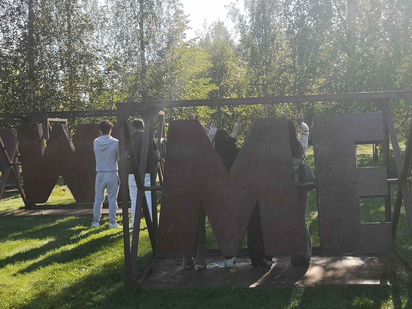 En gruppe elefanter står i et inngjerdet område En gruppe elefanter står i et inngjerdet område