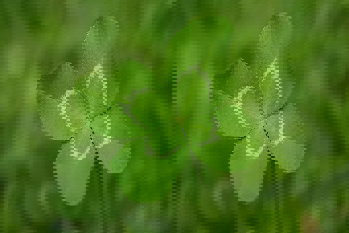 Stovner vgs ønsker lykke til! Stovner vgs ønsker lykke til!