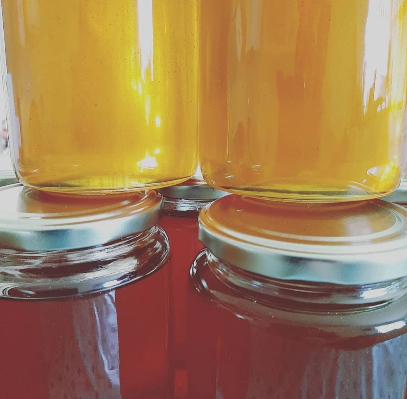 en gruppe glassbeholdere med væske