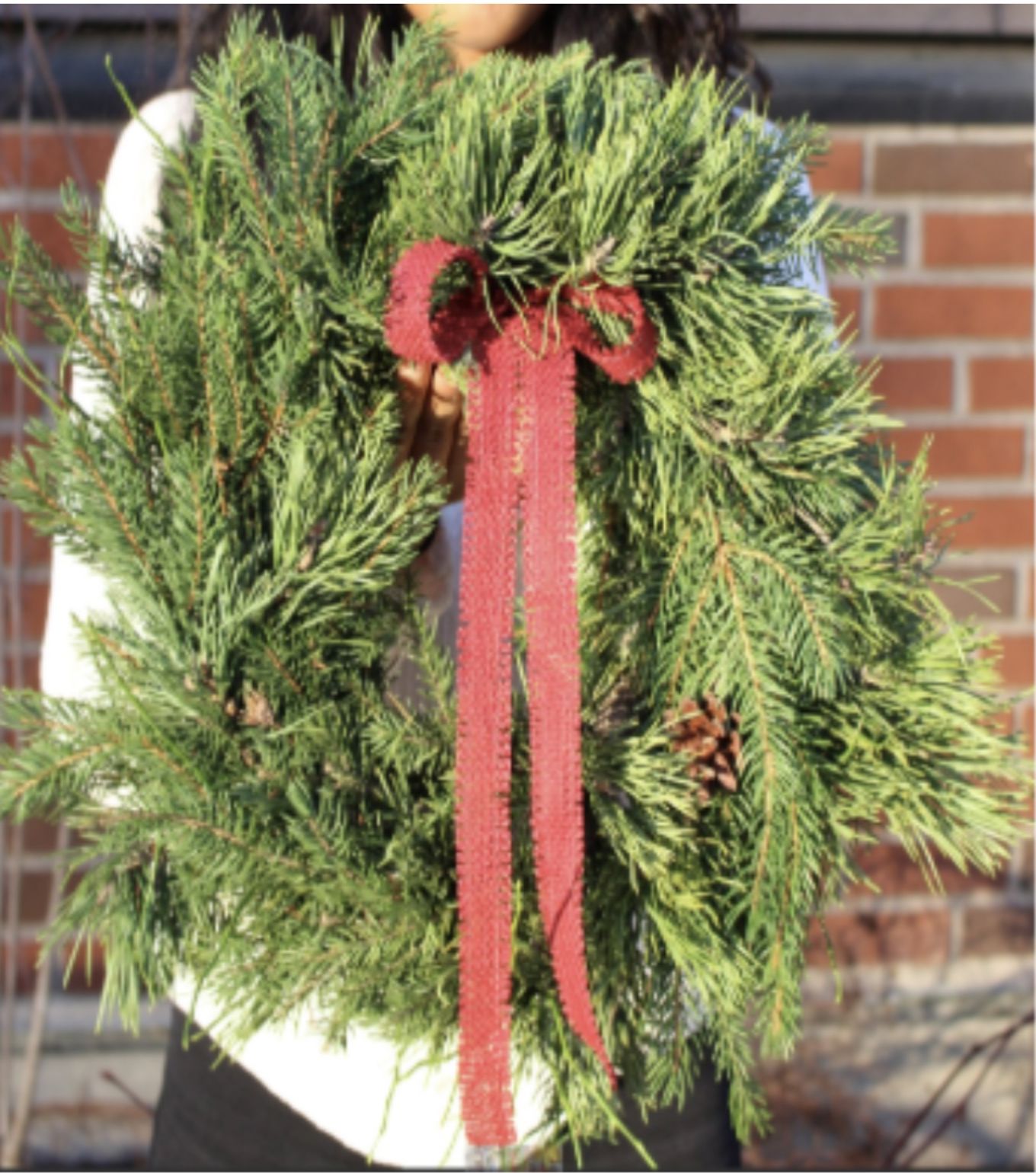 et tre med et rødt bånd