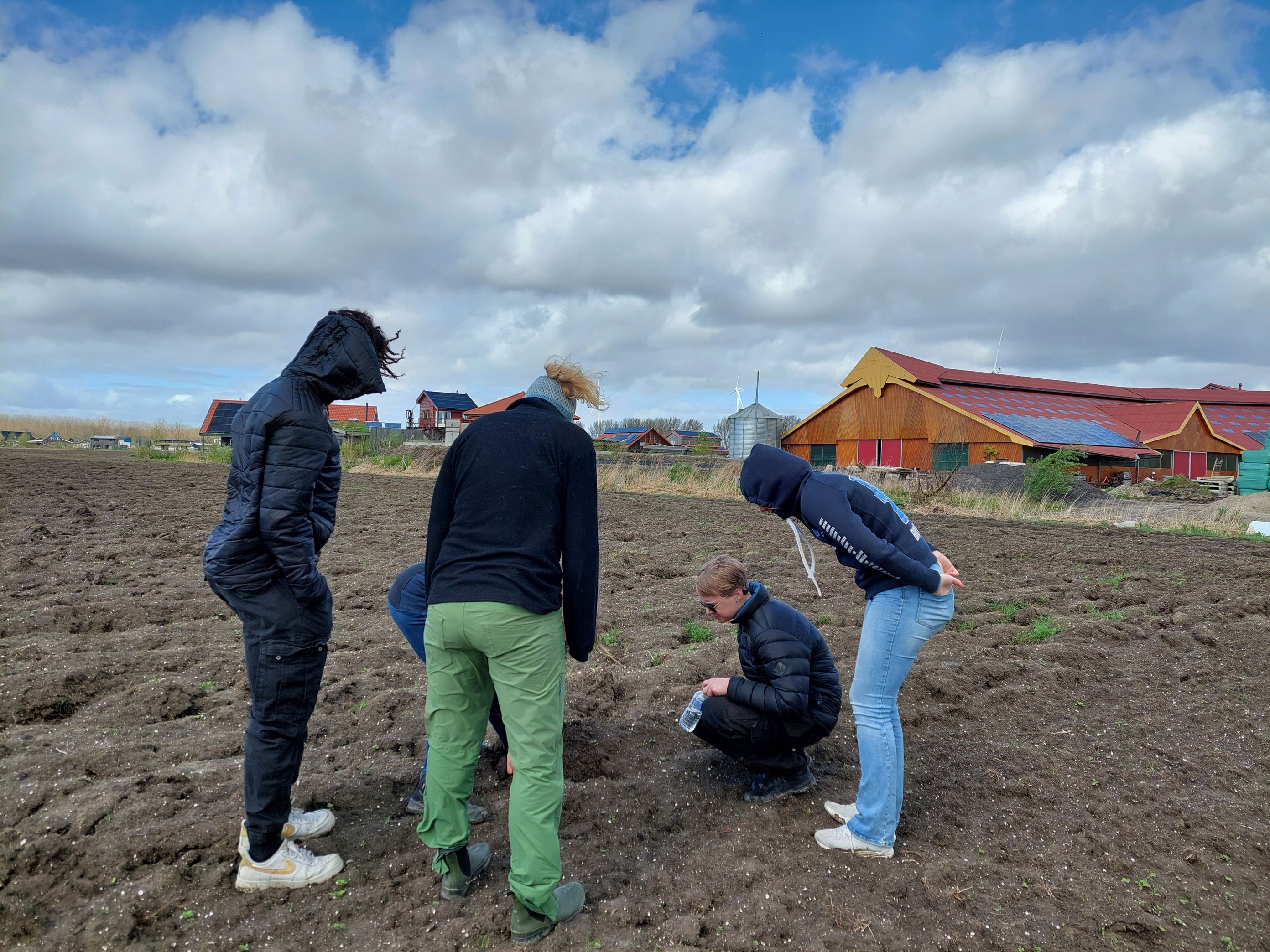 en gruppe mennesker som planter planter