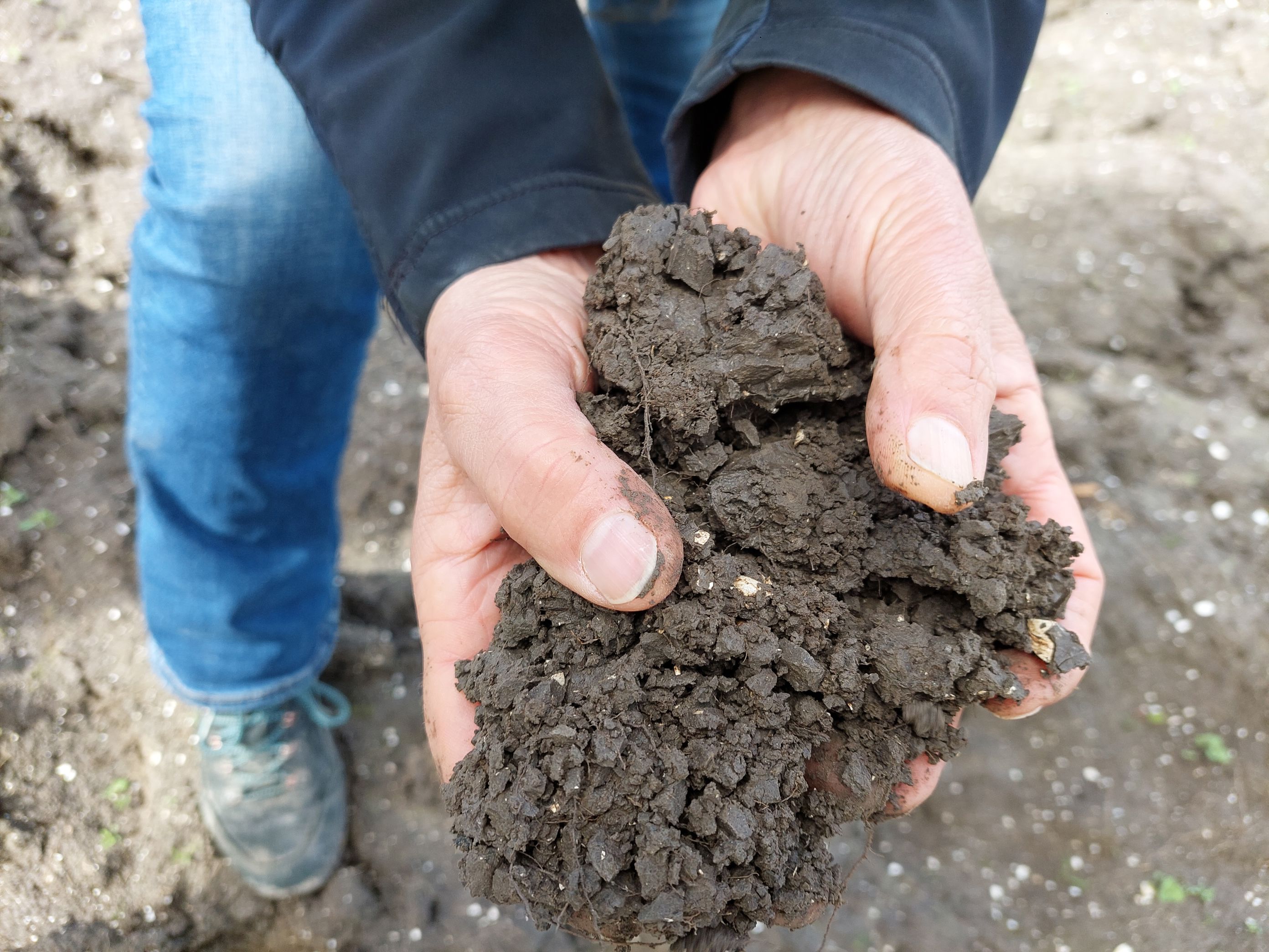 en person som holder en haug med skitt