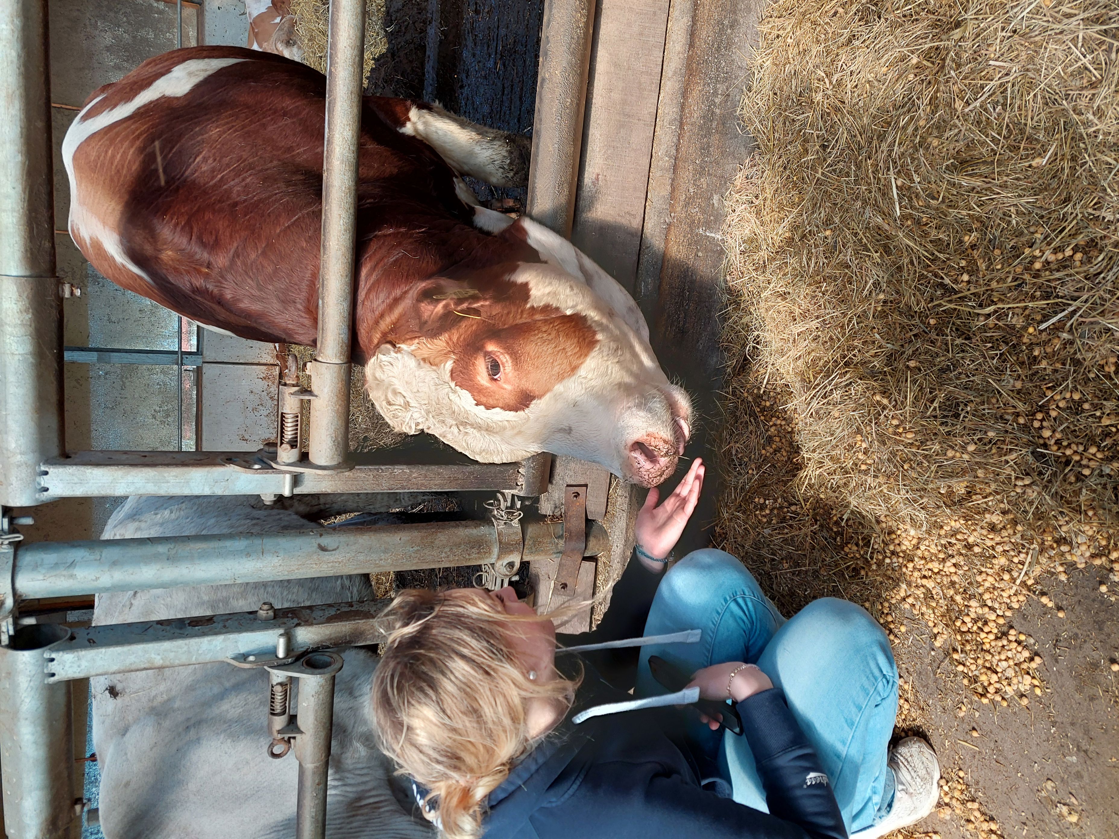 en *** og et barn i en penn