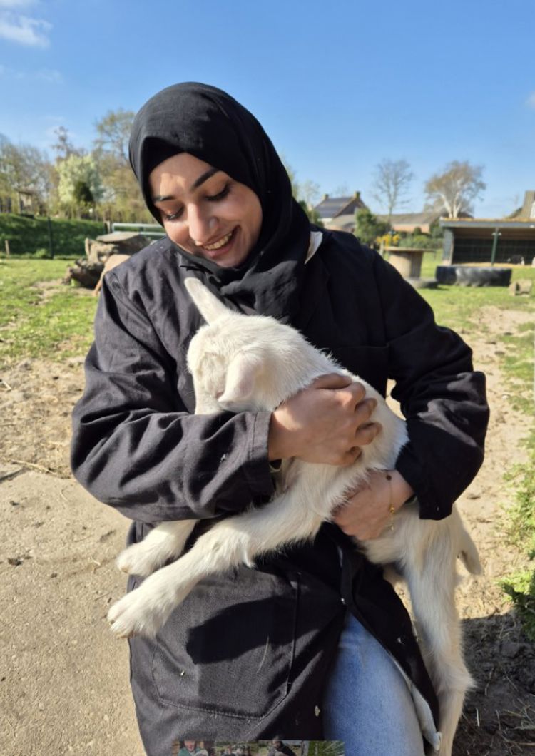 en person som holder en katt