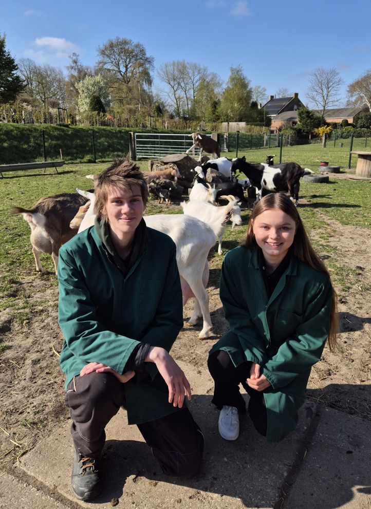 et par personr som poserer for et bilde med noen geiter