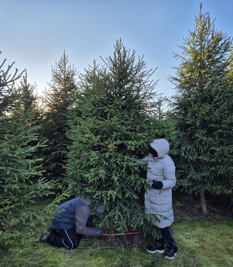 et par mennesker i en skog